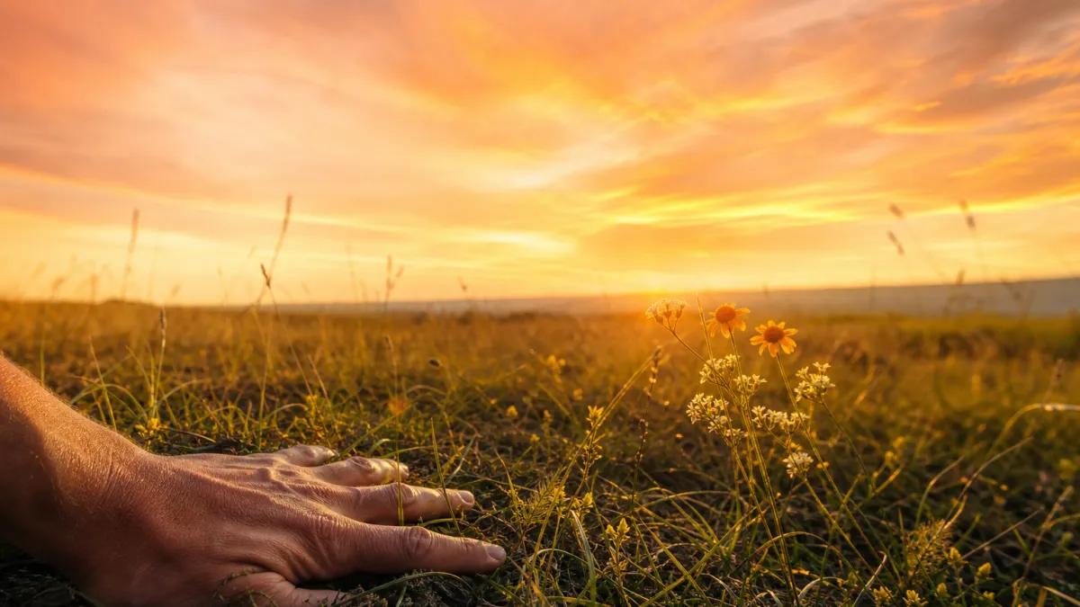 Solstice d'été 2026 : date, heure exacte et signification